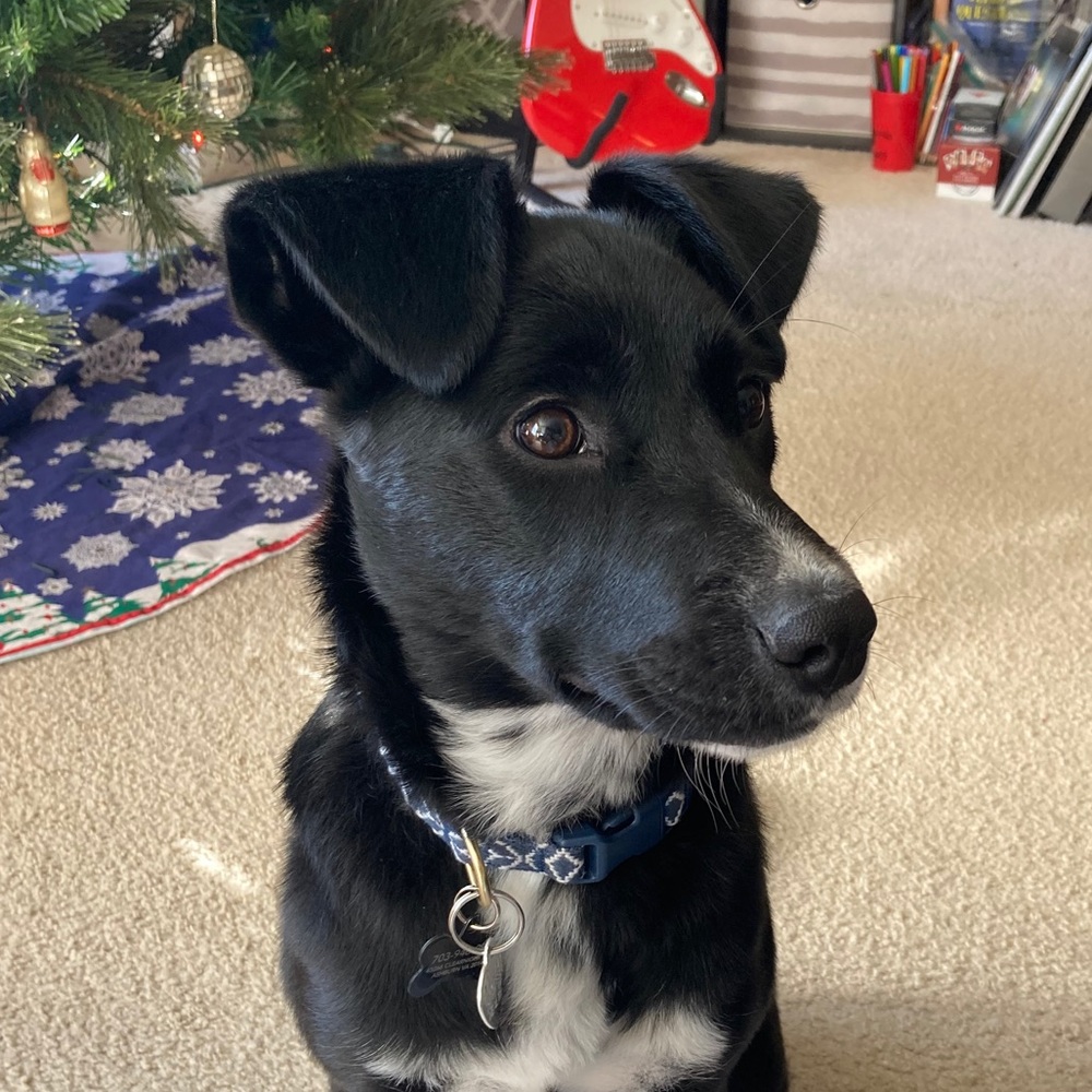 Meet your Posher, Jaden